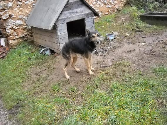 Za zákaz reťazí bojujeme ďalej. Podpíš novú e-petíciu!