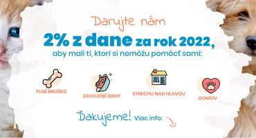 2 % z dane za 2022